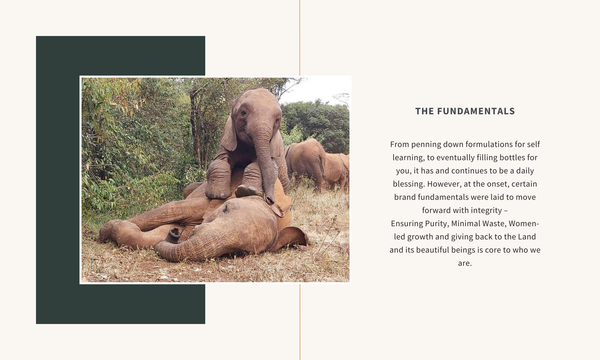 From penning down formulations for self learning, to eventually filling bottles for you, it has and continues to be a daily blessing. However, at the onset, certain brand fundamentals were laid to move forward with integrity – Ensuring Purity, Minimal Waste, Women-led growth and giving back to the Land and its beautiful beings is core to who we are.