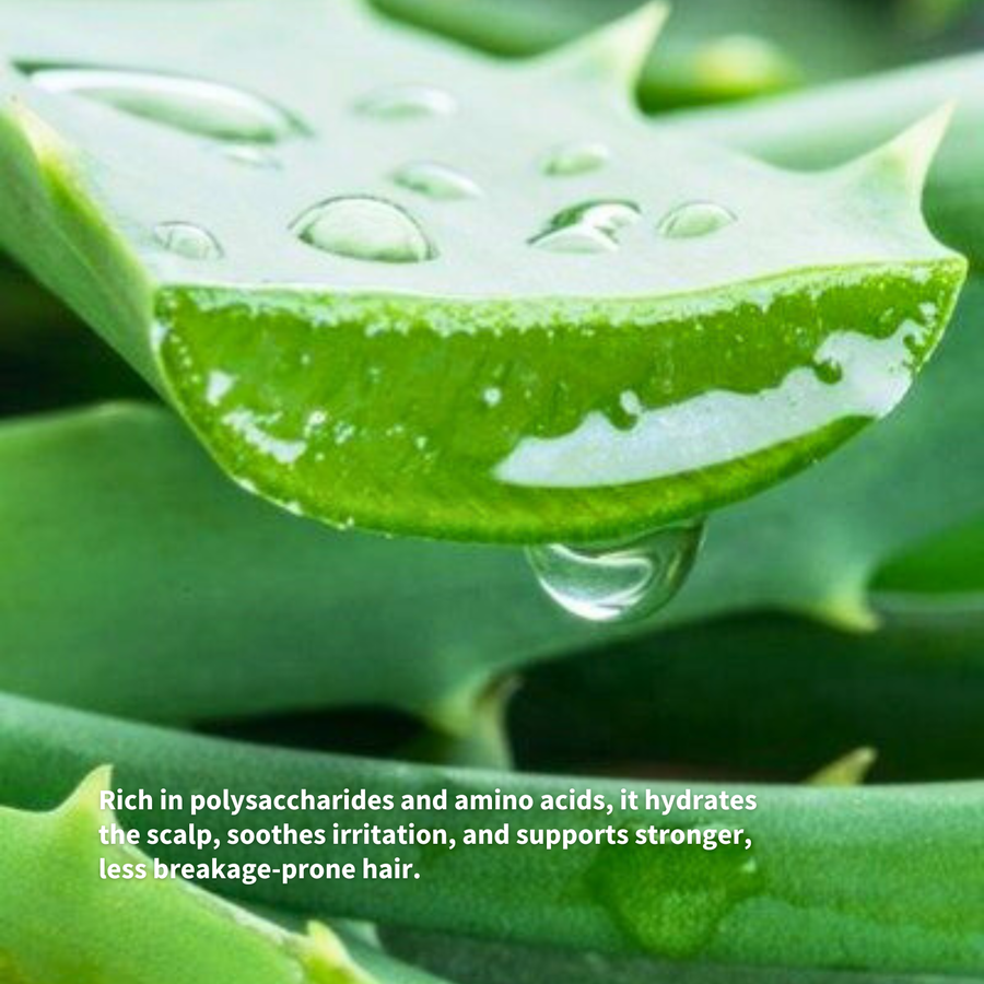 Aloevera