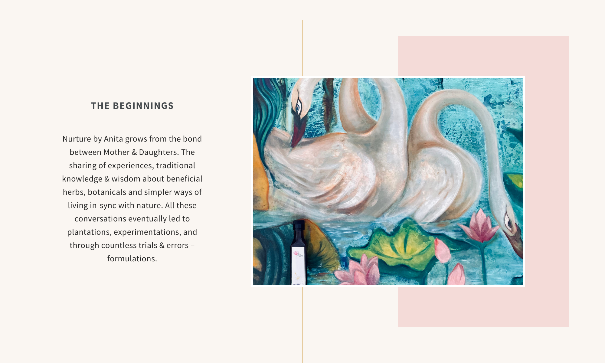 Nurture by Anita grows from the bond between Mother & Daughters. The sharing of experiences, traditional knowledge & wisdom about beneficial herbs, botanicals and simpler ways of living in-sync with nature. All these conversations eventually led to plantations, experimentations, and through countless trials & errors – formulations.