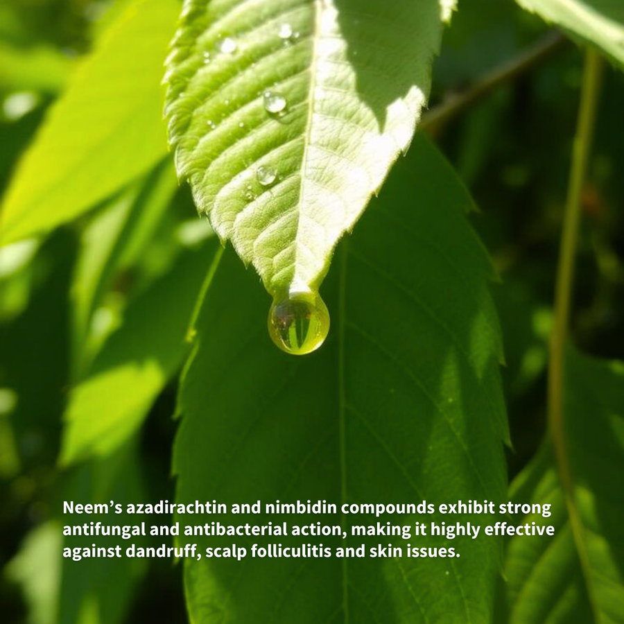 Neem